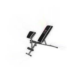 York 2 in 1 Dumbbell and Ab Bench with Curl